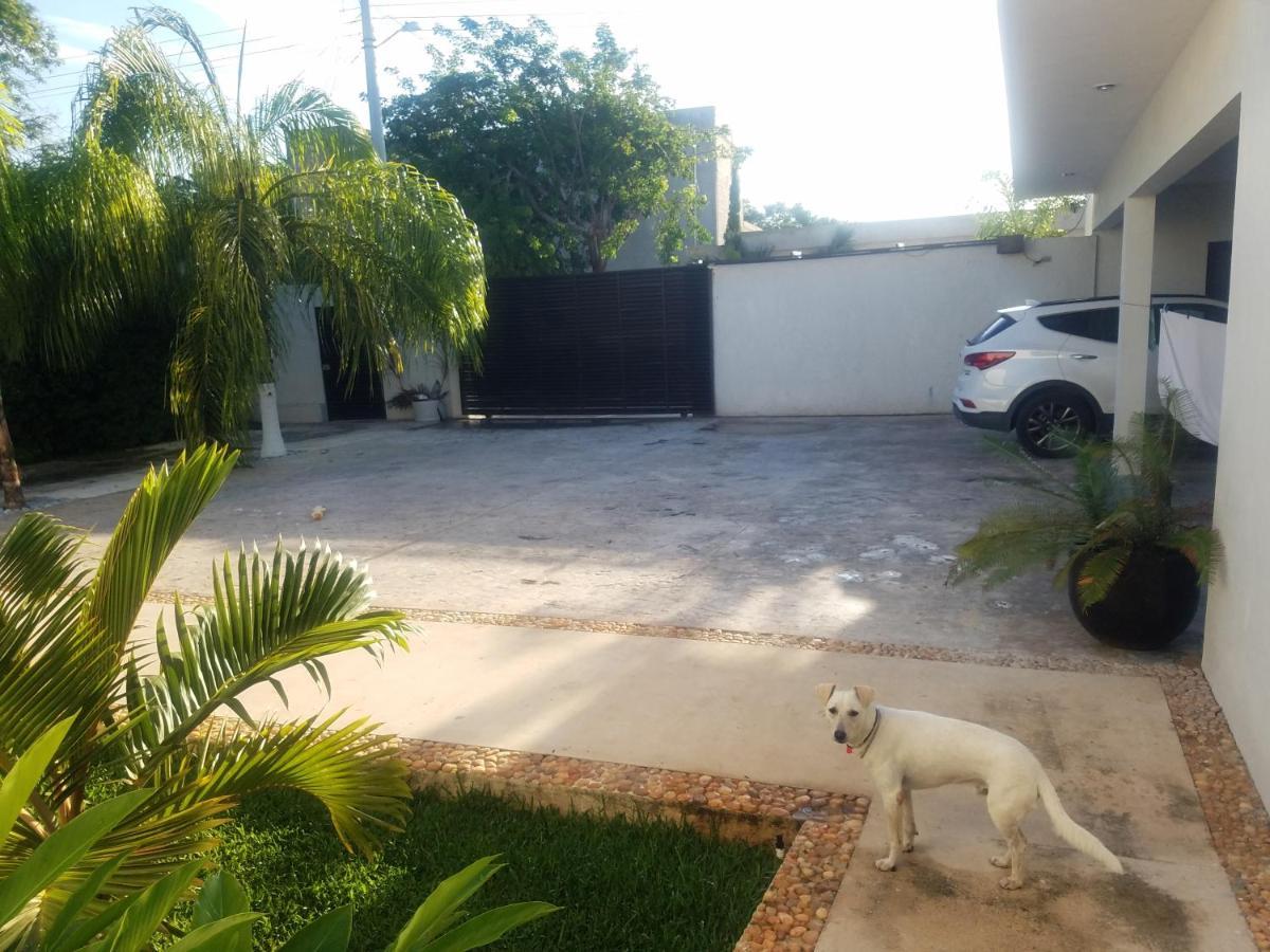 Casa Xcanatun Mérida Eksteriør billede